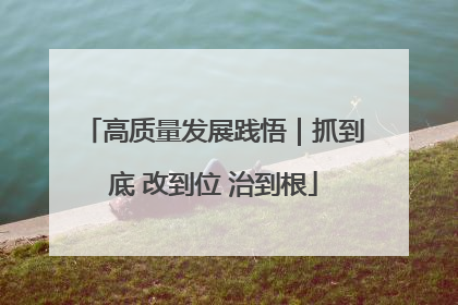 高质量发展践悟｜抓到底 改到位 治到根