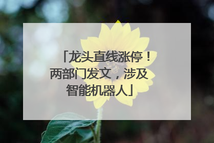 龙头直线涨停！两部门发文，涉及智能机器人