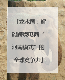 龙永图：解码跨境电商“河南模式”的全球竞争力
