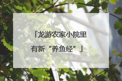 龙游农家小院里有新“养鱼经”