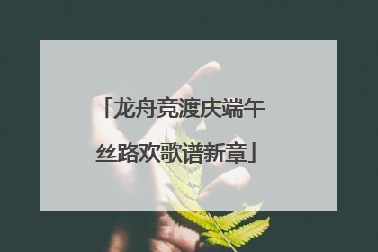 龙舟竞渡庆端午 丝路欢歌谱新章
