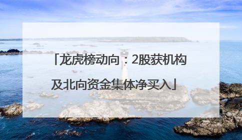龙虎榜动向：2股获机构及北向资金集体净买入