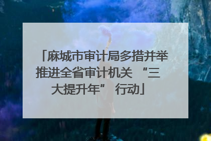 麻城市审计局多措并举推进全省审计机关 “三大提升年” 行动