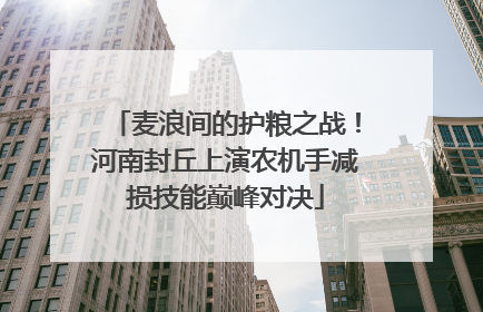 麦浪间的护粮之战！河南封丘上演农机手减损技能巅峰对决
