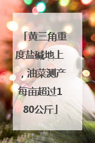 黄三角重度盐碱地上，油菜测产每亩超过180公斤