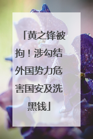 黄之锋被拘！涉勾结外国势力危害国安及洗黑钱