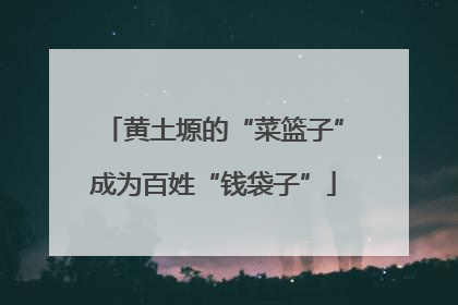 黄土塬的“菜篮子”成为百姓“钱袋子”