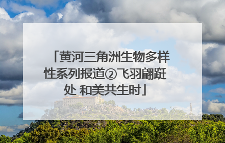 黄河三角洲生物多样性系列报道②飞羽翩跹处 和美共生时