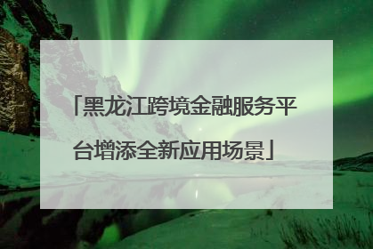 黑龙江跨境金融服务平台增添全新应用场景
