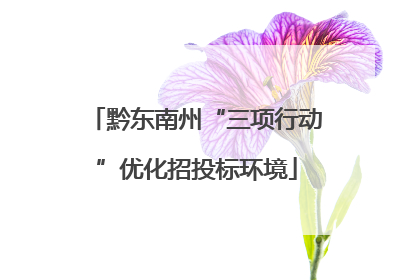 黔东南州“三项行动”优化招投标环境