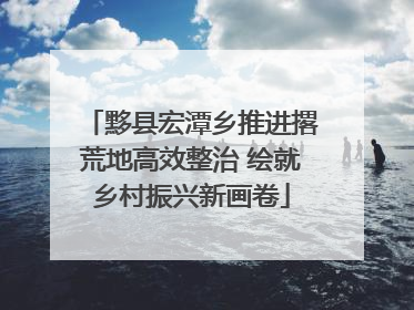 黟县宏潭乡推进撂荒地高效整治 绘就乡村振兴新画卷