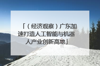 （经济观察）广东加速打造人工智能与机器人产业创新高地