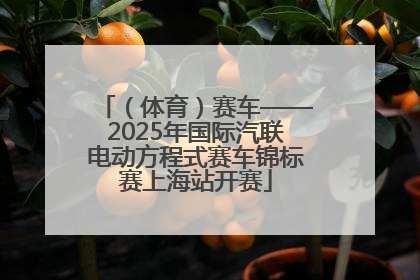 （体育）赛车——2025年国际汽联电动方程式赛车锦标赛上海站开赛