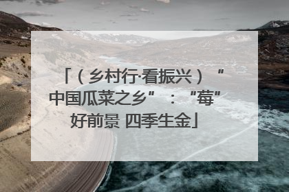 （乡村行·看振兴）“中国瓜菜之乡”：“莓”好前景 四季生金