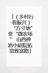 （乡村行·看振兴）“方寸地”变“微农场” 山西神池小庭院拓宽致富路