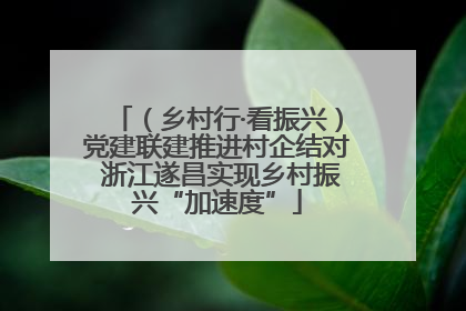 （乡村行·看振兴）党建联建推进村企结对 浙江遂昌实现乡村振兴“加速度”