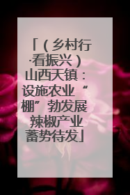 （乡村行·看振兴）山西天镇：设施农业“棚”勃发展 辣椒产业蓄势待发