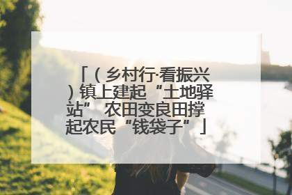 （乡村行·看振兴）镇上建起“土地驿站” 农田变良田撑起农民“钱袋子”