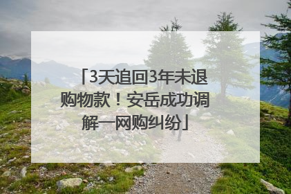 3天追回3年未退购物款！安岳成功调解一网购纠纷