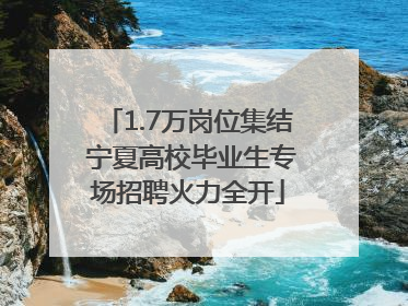 1.7万岗位集结 宁夏高校毕业生专场招聘火力全开