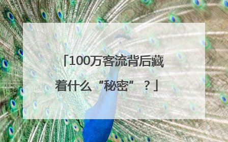 100万客流背后藏着什么“秘密”？