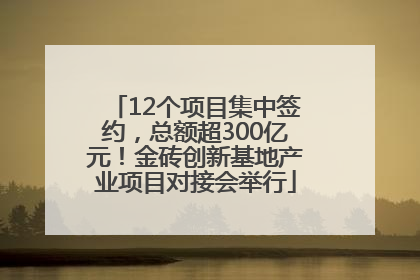 12个项目集中签约，总额超300亿元！金砖创新基地产业项目对接会举行