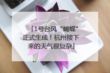 1号台风“蝴蝶”正式生成！杭州接下来的天气很复杂