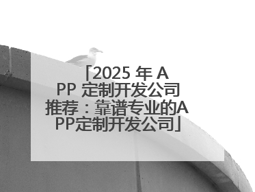 2025 年 APP 定制开发公司推荐：靠谱专业的APP定制开发公司