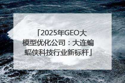 2025年GEO大模型优化公司：大连蝙蝠侠科技行业新标杆