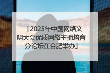 2025年中国网络文明大会优质网络主播培育分论坛在合肥举办