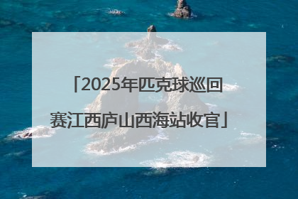 2025年匹克球巡回赛江西庐山西海站收官