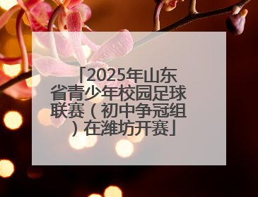 2025年山东省青少年校园足球联赛（初中争冠组）在潍坊开赛
