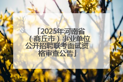 2025年河南省（商丘市）事业单位公开招聘联考面试资格审查公告