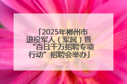 2025年郴州市退役军人（军属）暨“百日千万招聘专项行动”招聘会举办