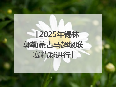 2025年锡林郭勒蒙古马超级联赛精彩进行