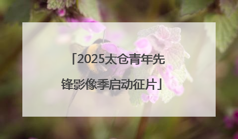 2025太仓青年先锋影像季启动征片