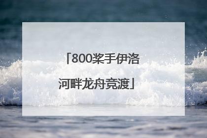 800桨手伊洛河畔龙舟竞渡