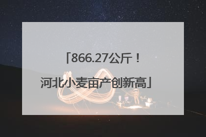 866.27公斤！河北小麦亩产创新高