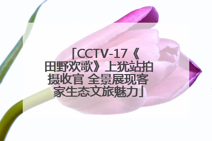 CCTV-17《田野欢歌》上犹站拍摄收官 全景展现客家生态文旅魅力