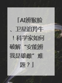AI辨猴脸、卫星追羚牛！科学家如何破解“安能辨我是雄雌”难题？