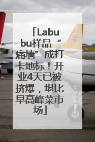 Labubu样品“痛墙”成打卡地标！开业4天已被挤爆，堪比早高峰菜市场
