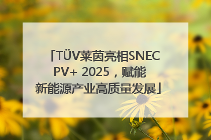 TÜV莱茵亮相SNEC PV+ 2025，赋能新能源产业高质量发展